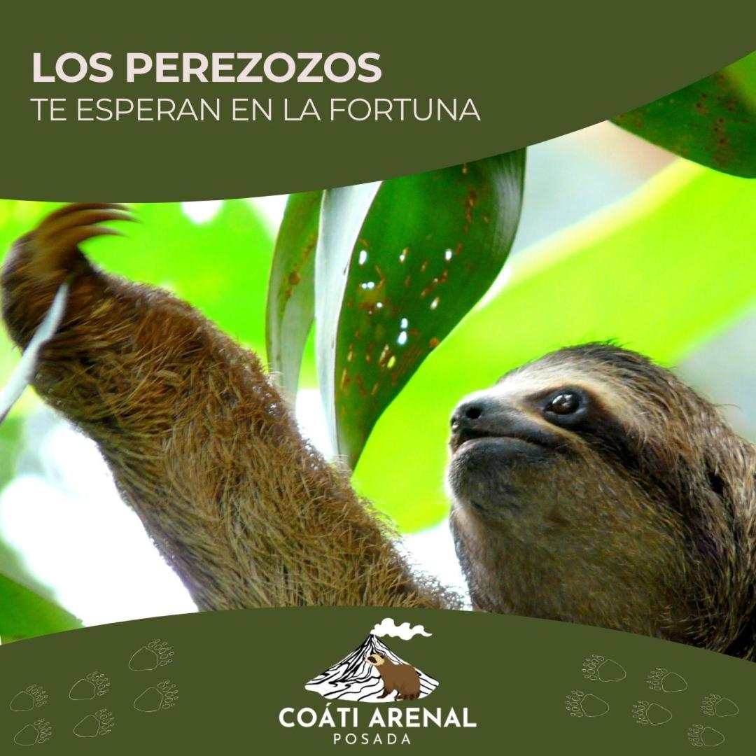 Coati Del Arenal Posada La Fortuna 外观 照片