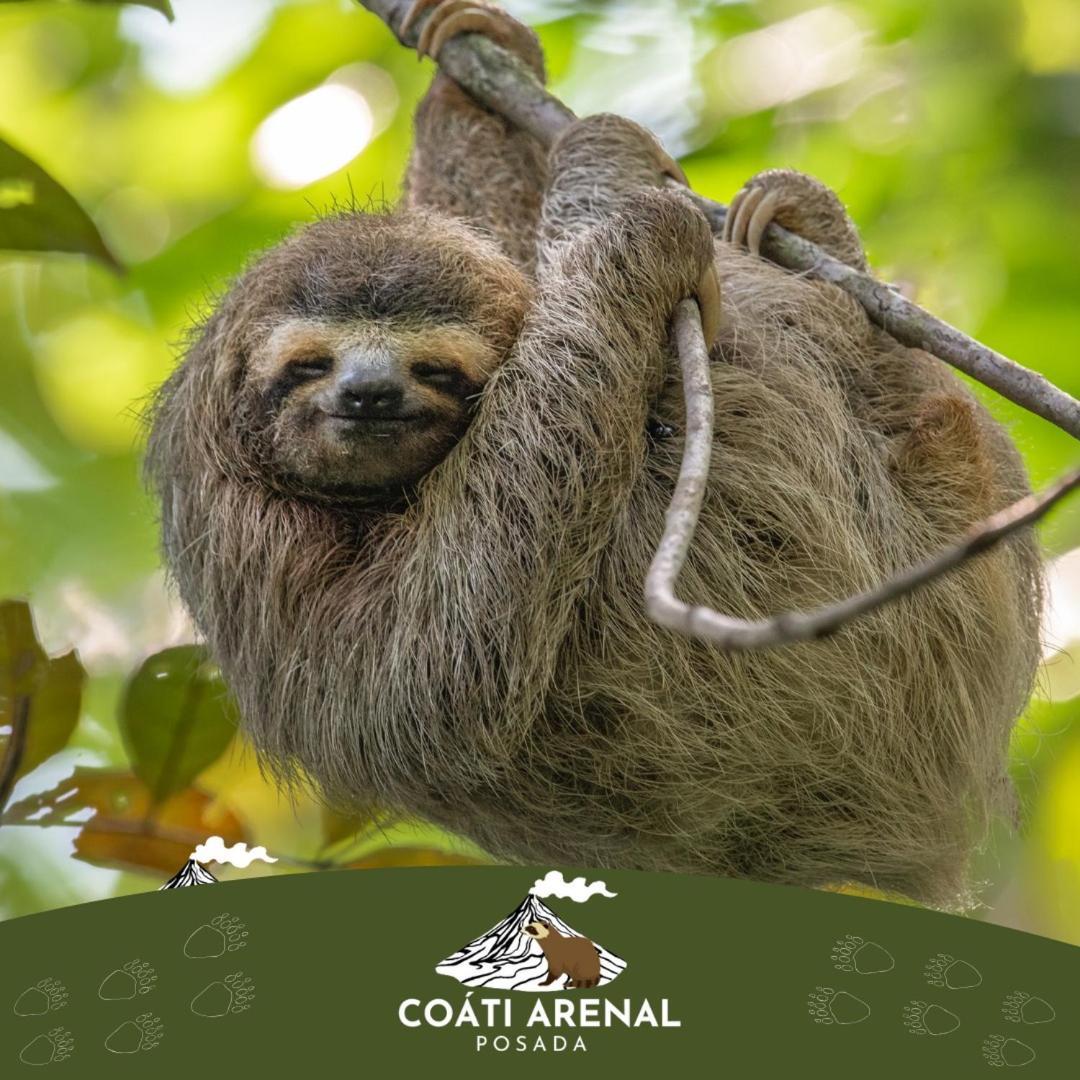 Coati Del Arenal Posada La Fortuna 外观 照片